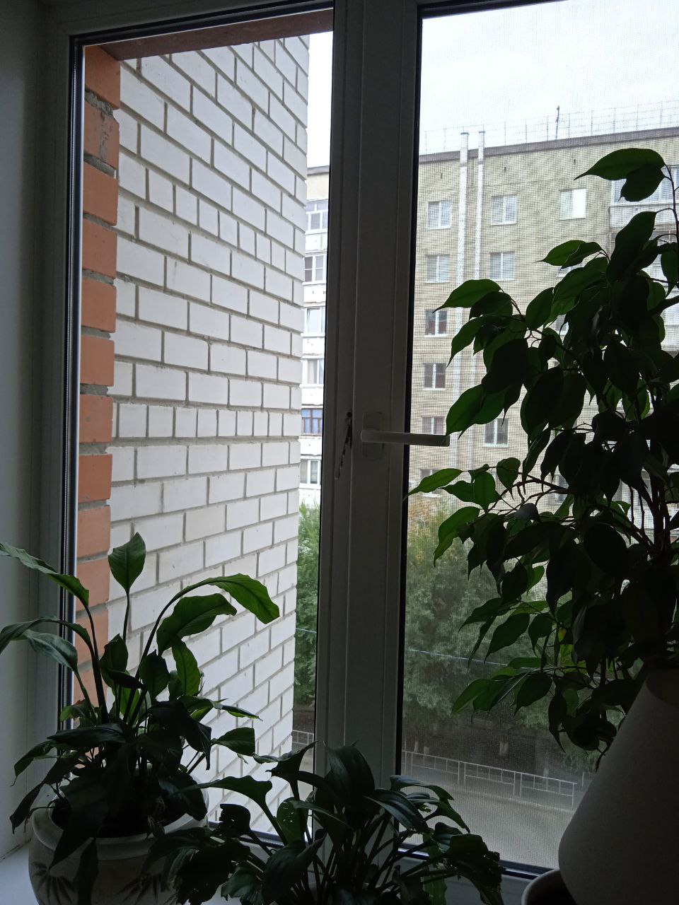 https://hanty-mansijsk.delaem-okna.ru/storage/app/uploads/public/63f/332/8c0/63f3328c0408d690824237.jpg