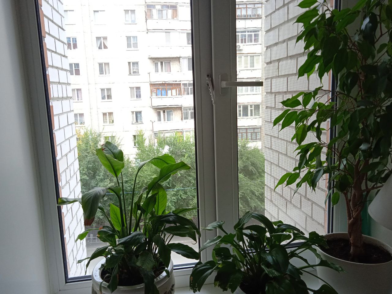 https://hanty-mansijsk.delaem-okna.ru/storage/app/uploads/public/63f/332/8c0/63f3328c0d6f7867060515.jpg